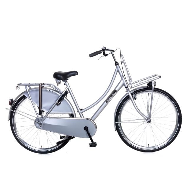 Popal Daily Dutch Dames 28 inch Zilver